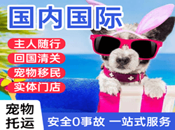 徕宁空运公司国际宠物托运 【国